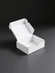 Auto Bottom with Display Lid