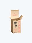 Custom Printed Kraft Tuck Top Boxes