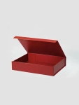 Auto Bottom with Display Lid