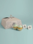 Custom Pie Slice Boxes