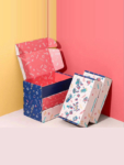 Fast Food Paper Boxes