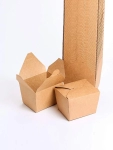 Extra Image 1