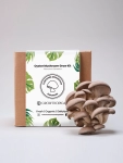 Mushroom Kit Box