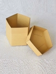 Auto Bottom with Display Lid