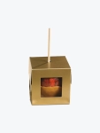 Auto Bottom with Display Lid