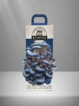 Mushroom Kit Box