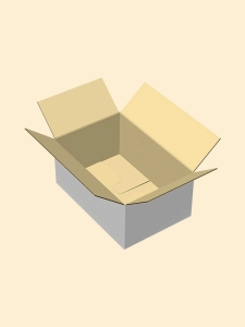 Custom Printed Slotted Boxes