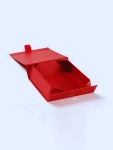 Auto Bottom with Display Lid