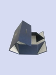 Collapsible Rigid Boxes