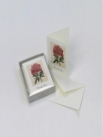 Extra Image 1