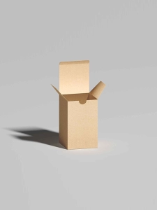 Custom Printed Kraft Tuck Top Boxes