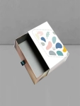 Custom-Made Press Kit Boxes with Handle