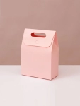 Custom Branded Promotional Carrier Boxes