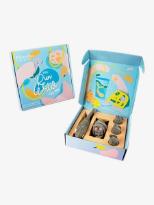 Custom Printed Cat Toy Packaging Boxes
