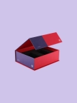 Auto Bottom with Display Lid