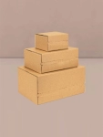 Extra Image 1
